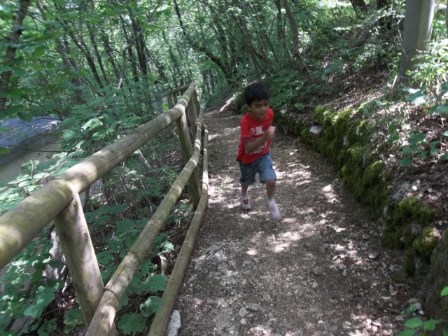 photo46.jpg