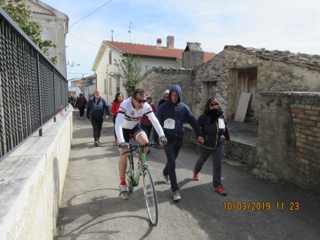 photo41.jpg