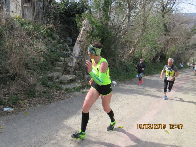 photo96.jpg