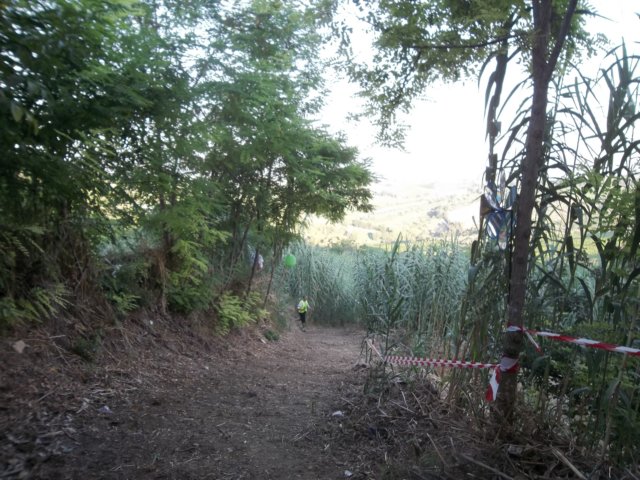 photo29.jpg