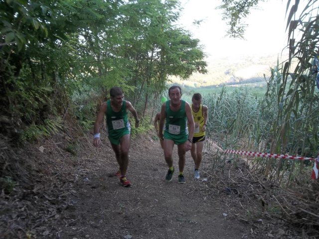 photo49.jpg