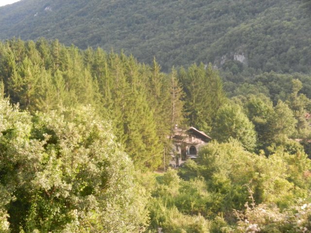 photo8.jpg