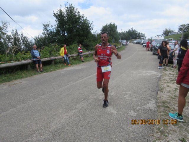 photo55.jpg
