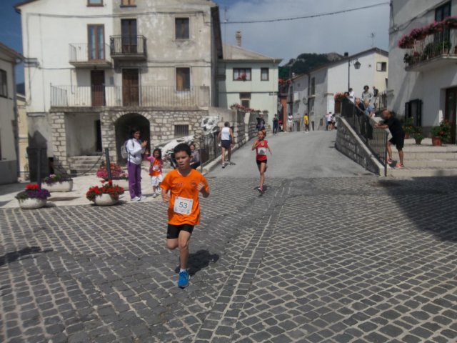 photo11.jpg