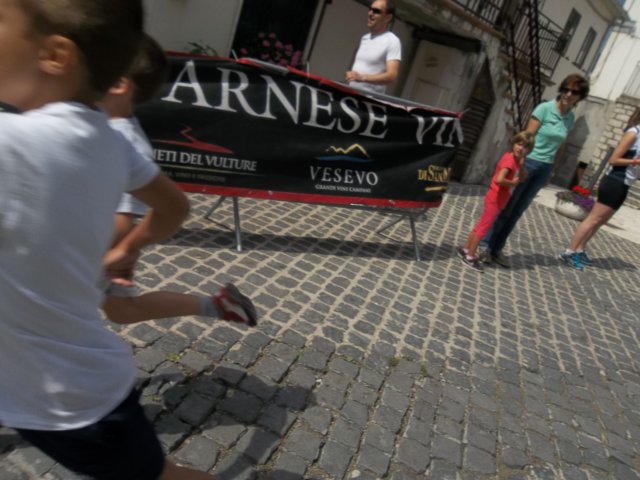 photo8.jpg