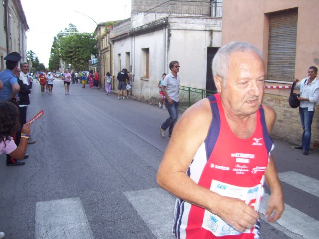 _1161.jpg