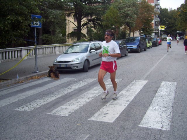 _1646.jpg
