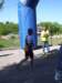 _4614_small.jpg
