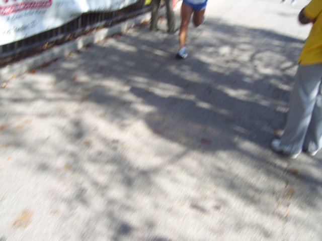 _1446.jpg