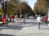 sdc10305_small.jpg