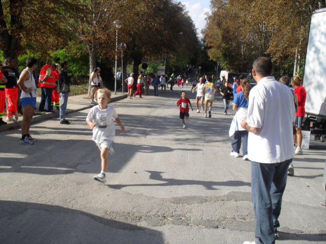 sdc10306.jpg