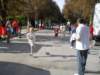 sdc10306_small.jpg