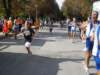 sdc10308_small.jpg