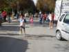sdc10309_small.jpg