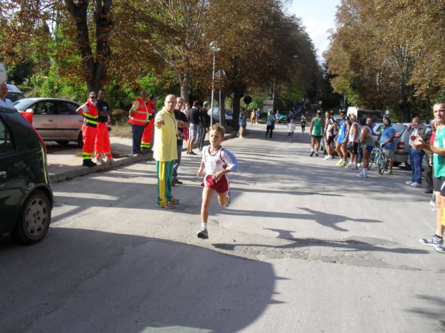 sdc10310.jpg