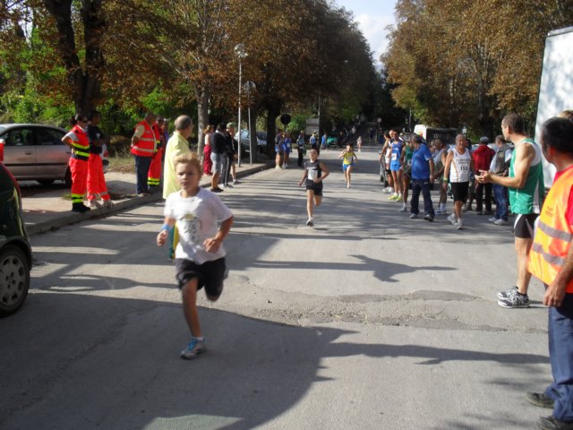 sdc10311.jpg