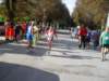 sdc10315_small.jpg