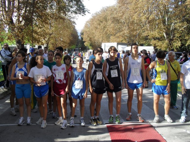 sdc10316.jpg