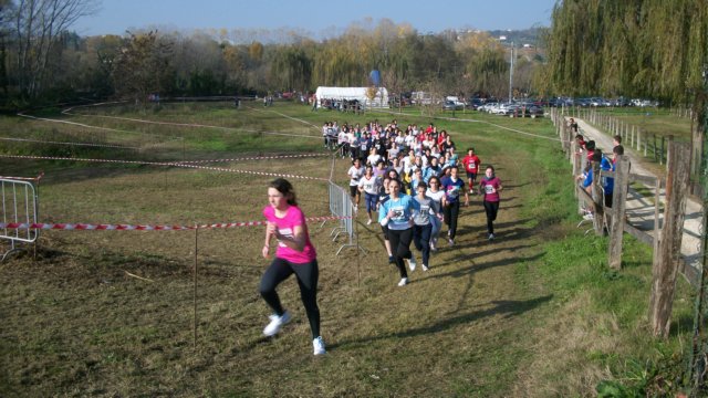 photo29.jpg