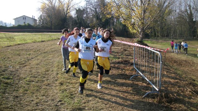 photo37.jpg