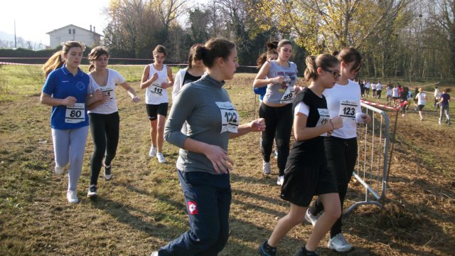 photo42.jpg