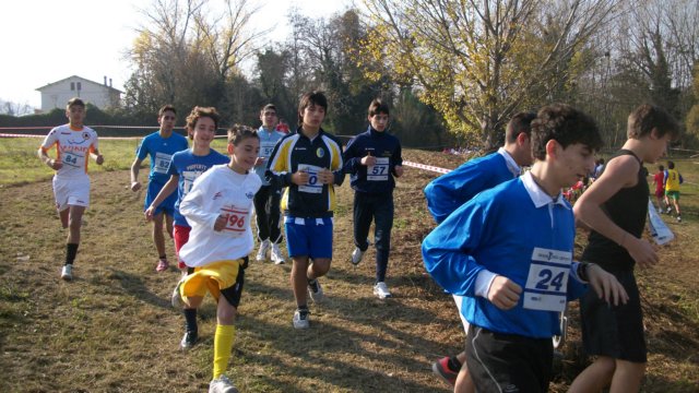 photo61.jpg