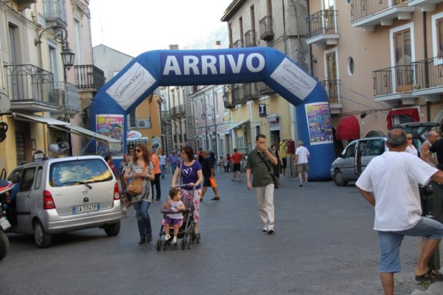 np2010_006.jpg