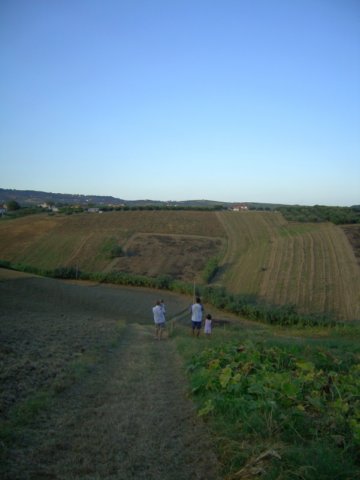 rizzacorno09_037.jpg