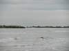 photo29_small.jpg