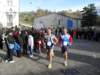 sdc11230_small.jpg