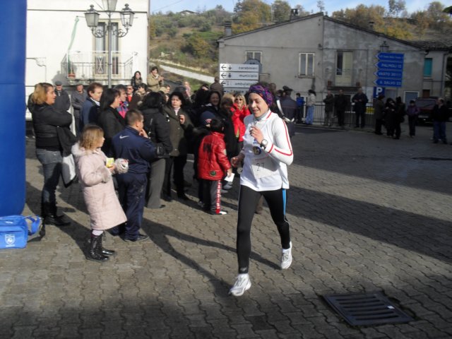 sdc11264.jpg