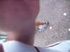 _8686_small.jpg