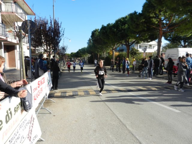 photo17.jpg