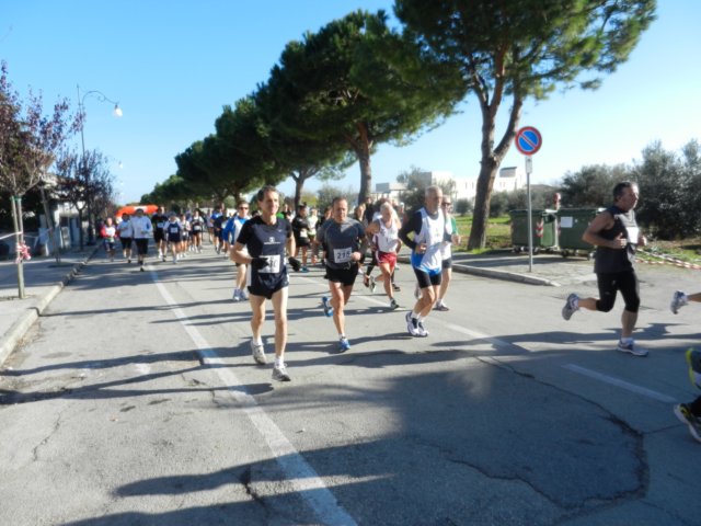 photo33.jpg