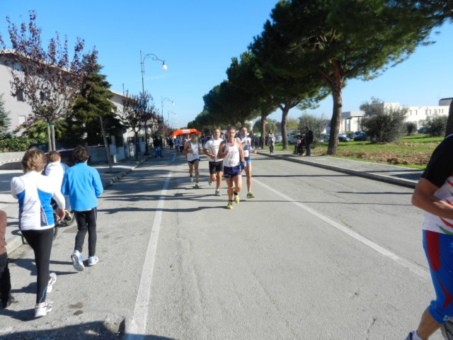 photo46.jpg