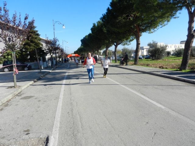 photo53.jpg