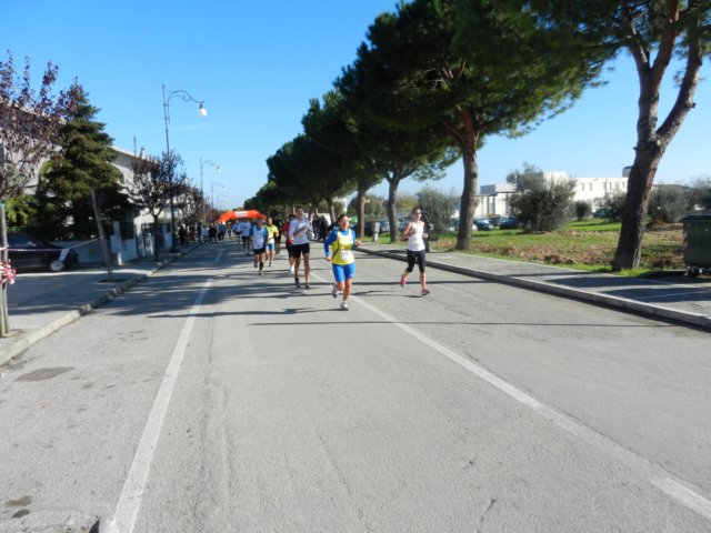 photo62.jpg