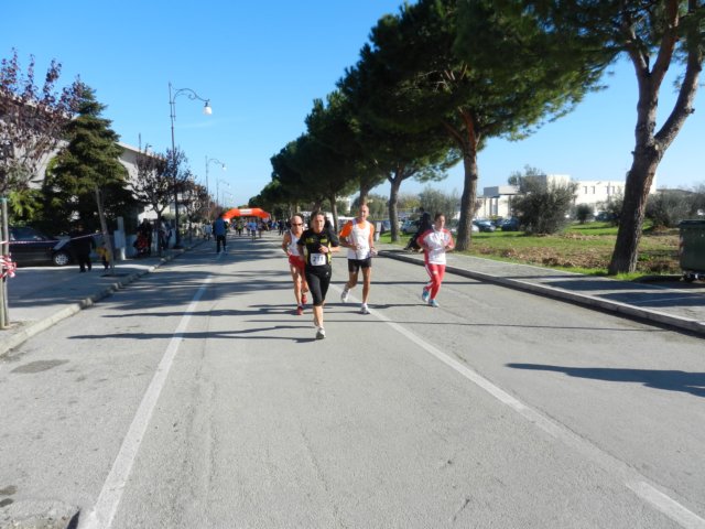 photo67.jpg