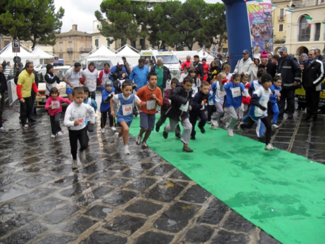 sdc10335.jpg
