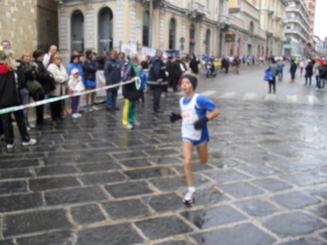 sdc10339.jpg