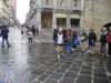 sdc10390_small.jpg