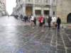 sdc10401_small.jpg