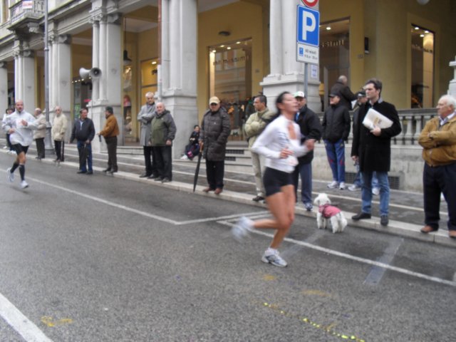 sdc10420.jpg