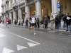 sdc10434_small.jpg