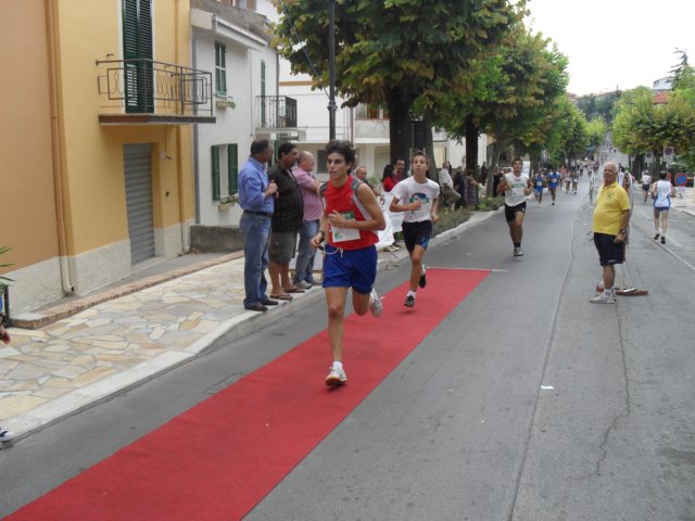 sdc10248.jpg