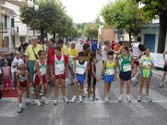 sdc10137.jpg