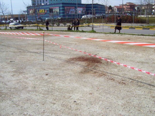 _3370.jpg
