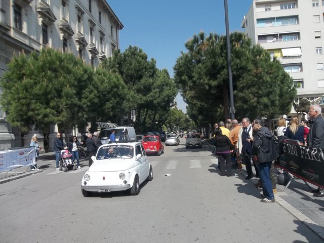 photo51.jpg